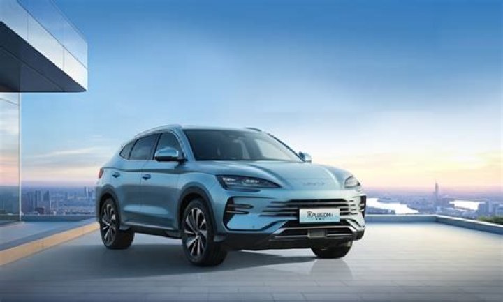 Alla Snodgrass Net Worth