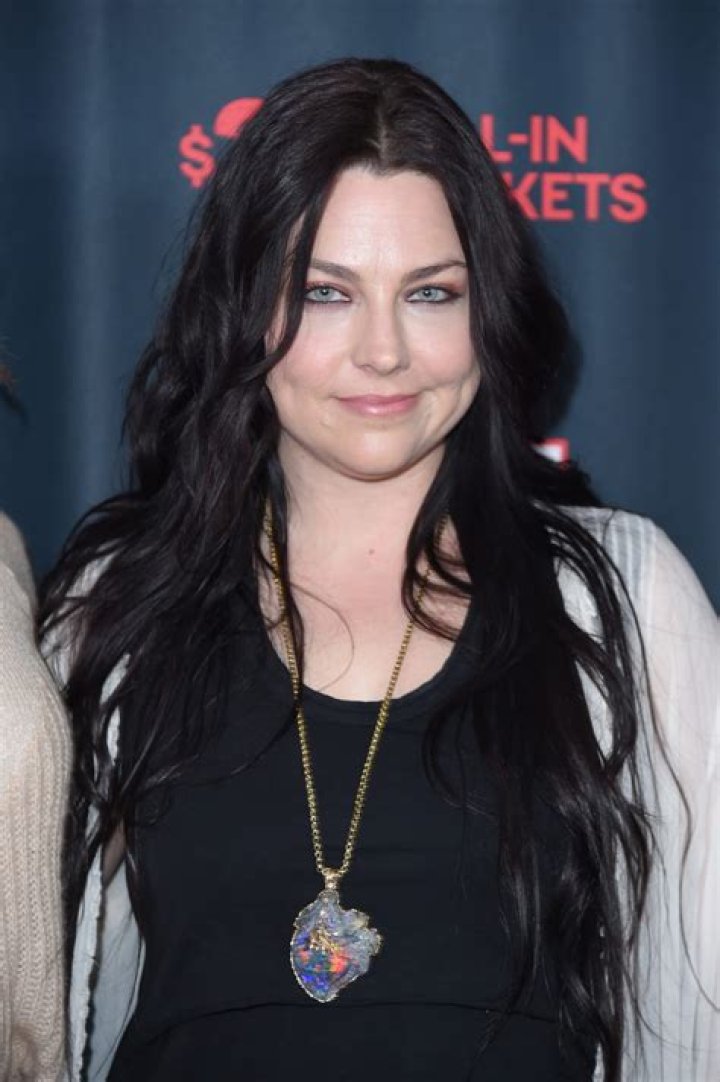 Amy Lee Net Worth