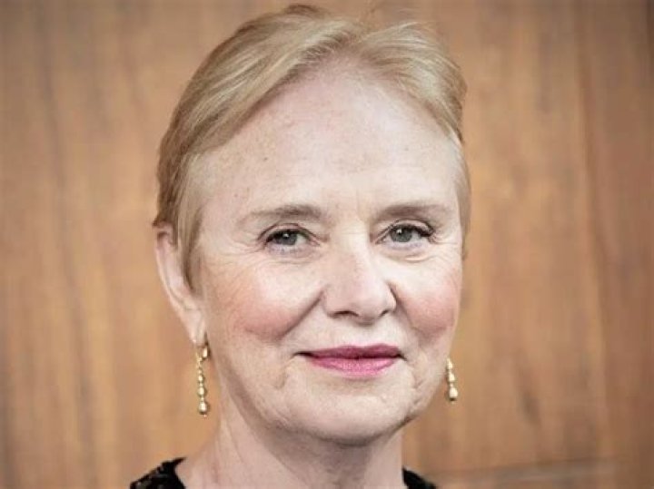 
Ann Cairns Age, Birthday, Wikipedia, Who, Nationality, Biography 