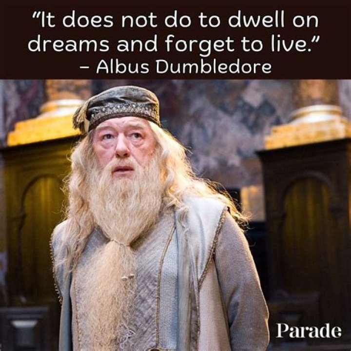 Best Harry Potter Quotes Making Your Nostalgia Real for all 6 Seasons (2022)