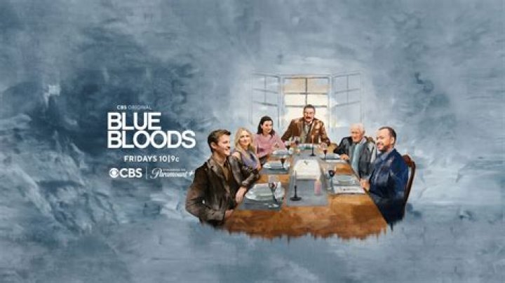
Blue Bloods season 13 episode 13 release date, time, what to expect, and more details 