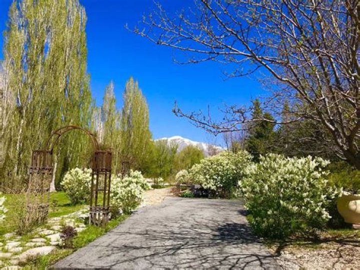 Brett Torino Age, Birthday, Wikipedia, Who, Nationality, Biography