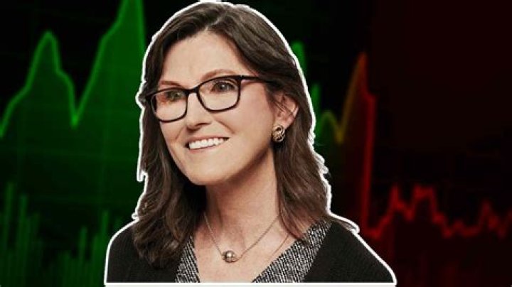 Cathie Wood Height, Weight, Net Worth, Age, Birthday, Wikipedia, Who, Nationality, Biography