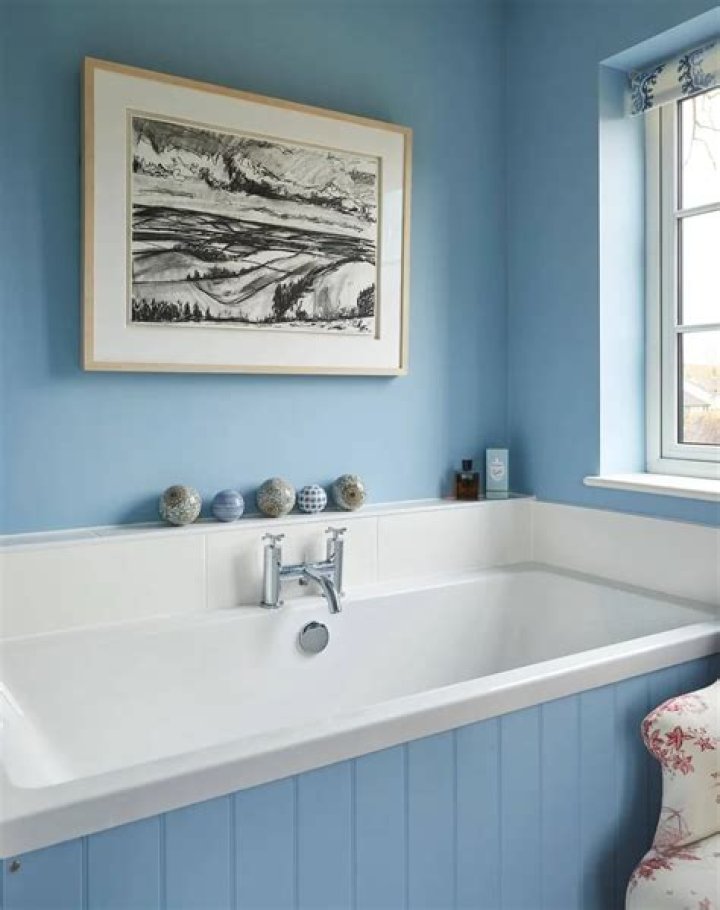 Craig Zucchero Net Worth