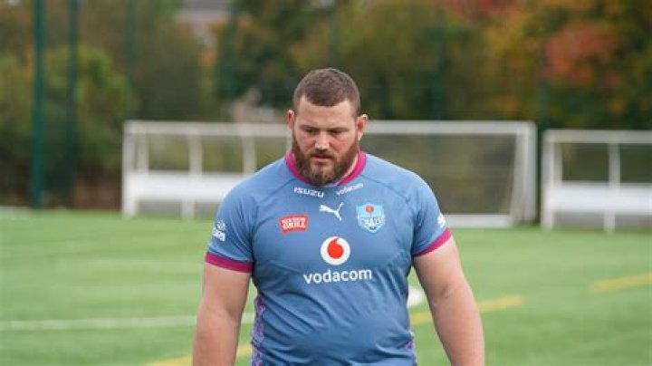 
David Louw Height, Weight, Net Worth, Age, Birthday, Wikipedia, Who, Nationality, Biography 