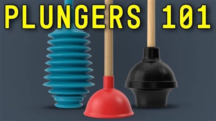 Do they sell plungers at cvs