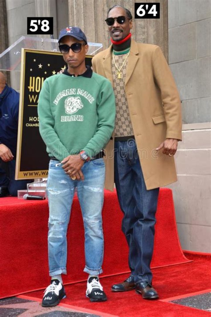 
Frank Williams Height, Weight, Net Worth, Age, Birthday, Wikipedia, Who, Nationality, Biography 