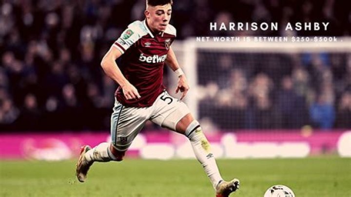 Harrison Ashby Height, Weight, Net Worth, Age, Birthday, Wikipedia, Who, Nationality, Biography