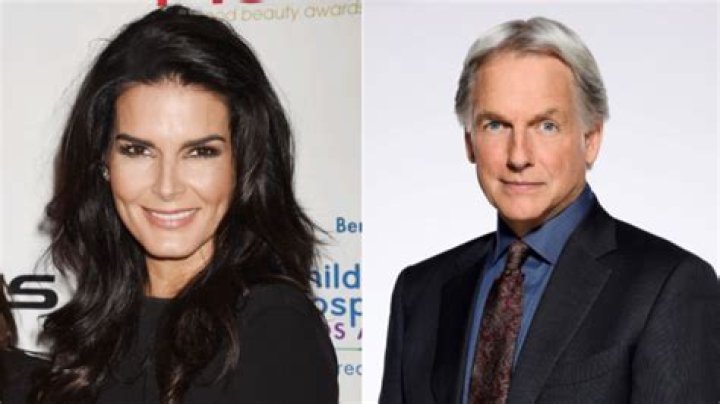 Is Angie Harmon Related to Mark Harmon or Are They Just Colleagues With Common Interest