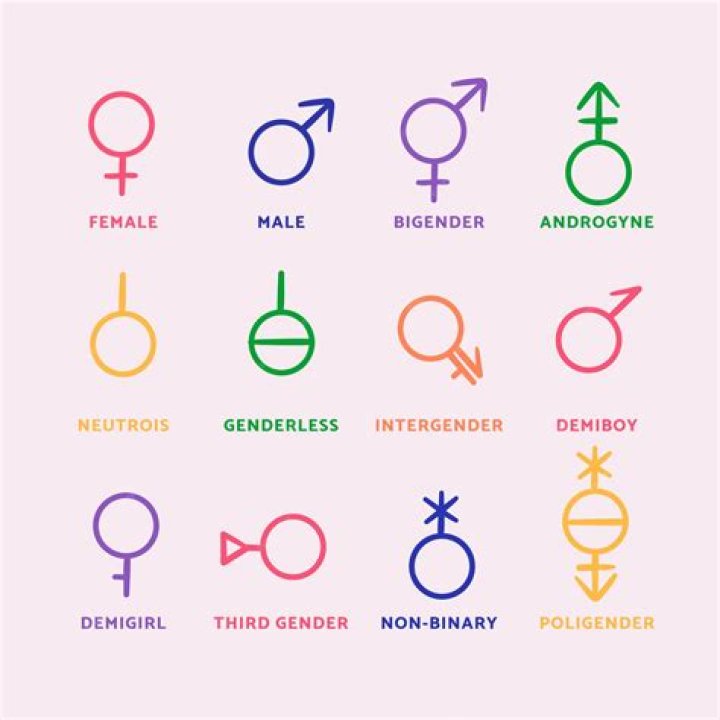 Is ER Fightmaster Transgender? Birth Gender – Female Male Or Non Binary