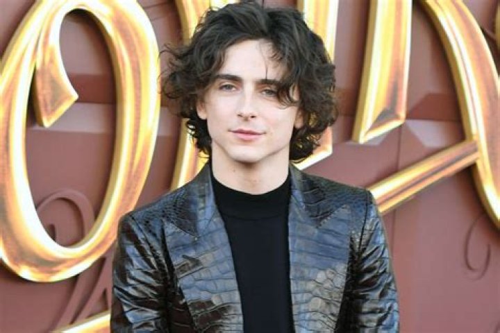 Is Timothee Chalamet Gay or Bi? Why Does He Have To Face Gay Rumor?