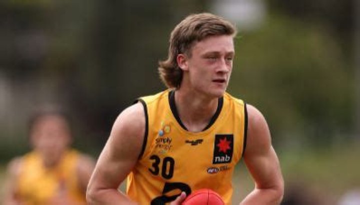 
Jye Amiss Age, Birthday, Wikipedia, Who, Nationality, Biography 