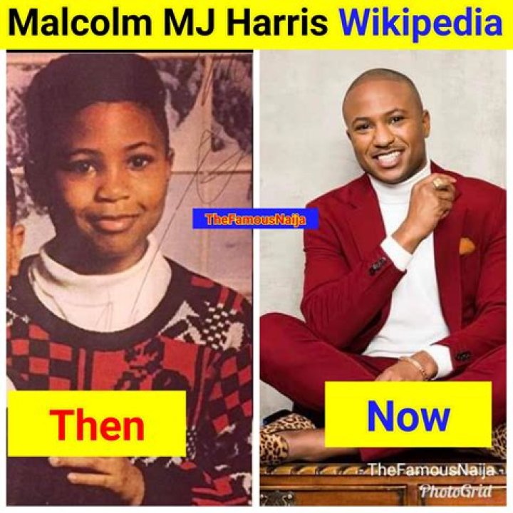 Malcolm Harris Net Worth