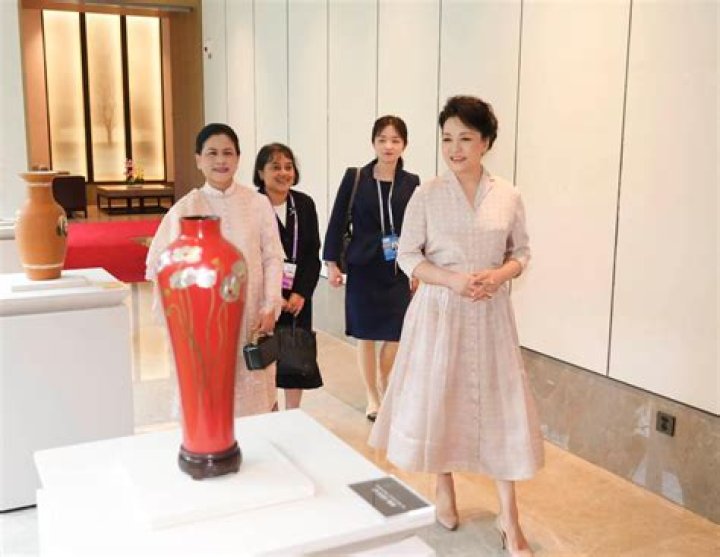 
Peng Liyuan Height, Weight, Net Worth, Age, Birthday, Wikipedia, Who, Nationality, Biography 