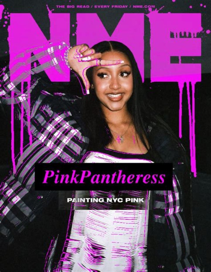 PinkPantheress Biography: Real Name, Boyfriend, Age, Net Worth, Instagram, Parents, Ethnicity, Nationality, Songs