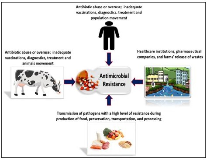 
Rising Temperatures Fuel The Spread of Toxic Fungi Across the United States 