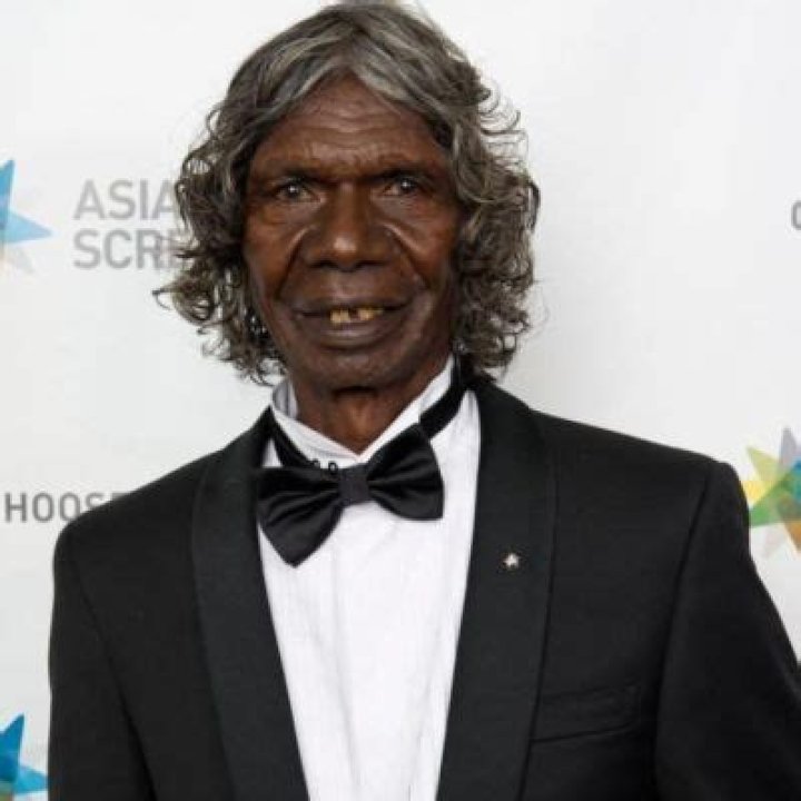 Robyn Djunginy Height, Weight, Net Worth, Age, Birthday, Wikipedia, Who, Nationality, Biography