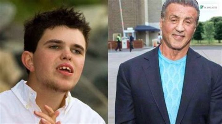 Seargeoh Stallone Height, Weight, Net Worth, Age, Birthday, Wikipedia, Who, Nationality, Biography