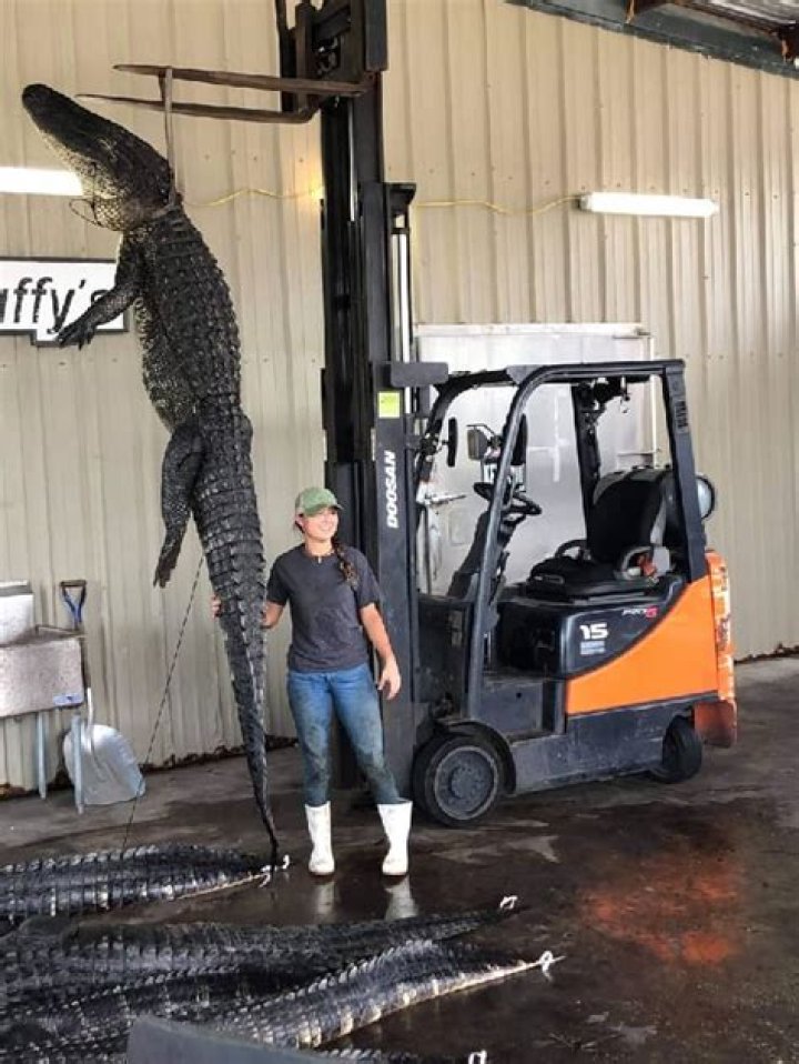 
shopaholicadel Height, Weight, Net Worth, Age, Birthday, Wikipedia, Who, Nationality, Biography 