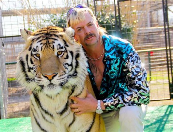 
Siegfried And Roy Tiger Attack Video – Where Is Roy Horn Now? 