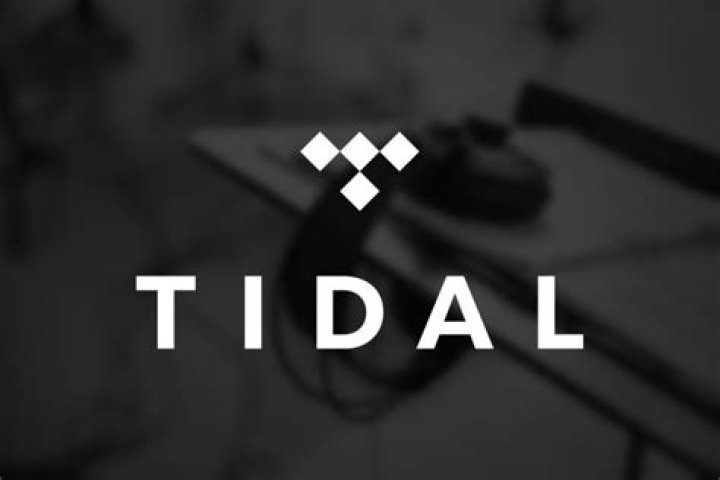 Tidal Net Worth