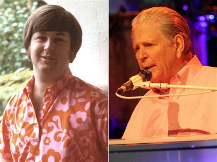 
What did Bryan Wilson do? 