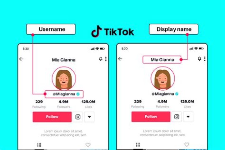 
What is youcantfindalex’s real name? Identity revealed as TikTok star gets arrested 