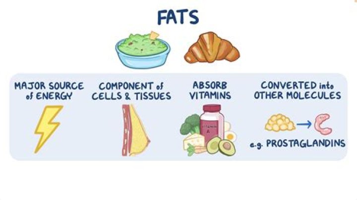 What state of matter are fats in at room temperature