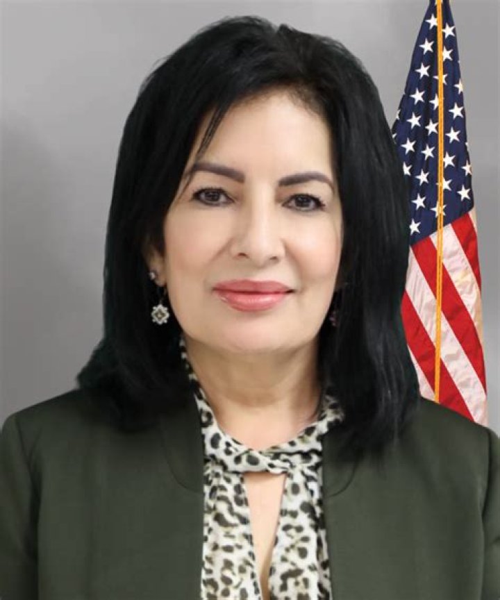 What Was Mercedes ISD Superintendent Carolyn Mendiola Arrested For?