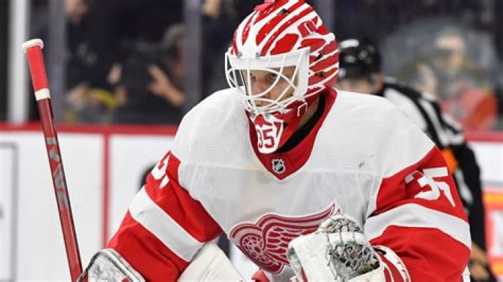 
Who Are The Parents Of Ville Husso, The Newly Drafted Goaltender Of Detroit Red Wings? 