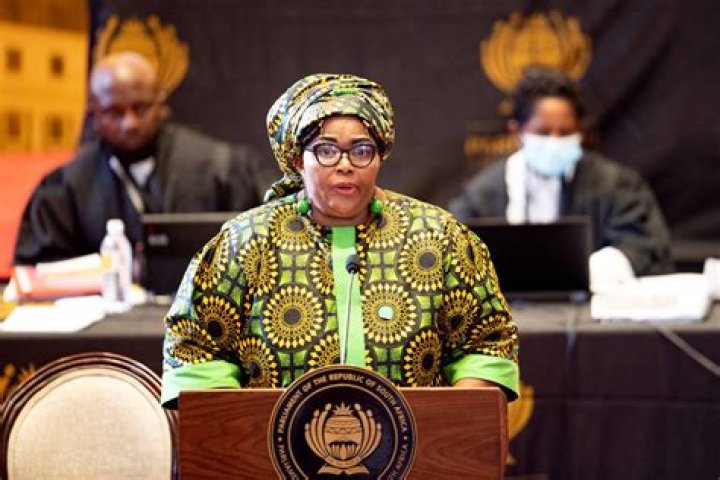 Who is Pemmy Majodina Married To? Everything To Know About The Politician