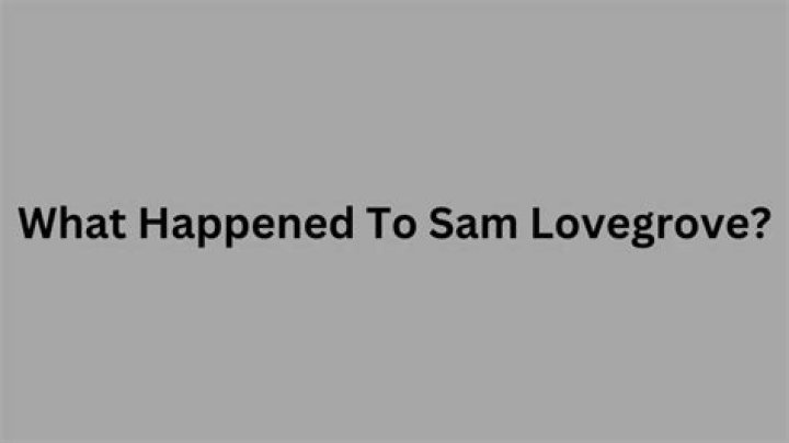 
Why Is Sam Lovegrove Not In The New Series Junk And Disorderly, Where Is He Now? Facts To Explore 