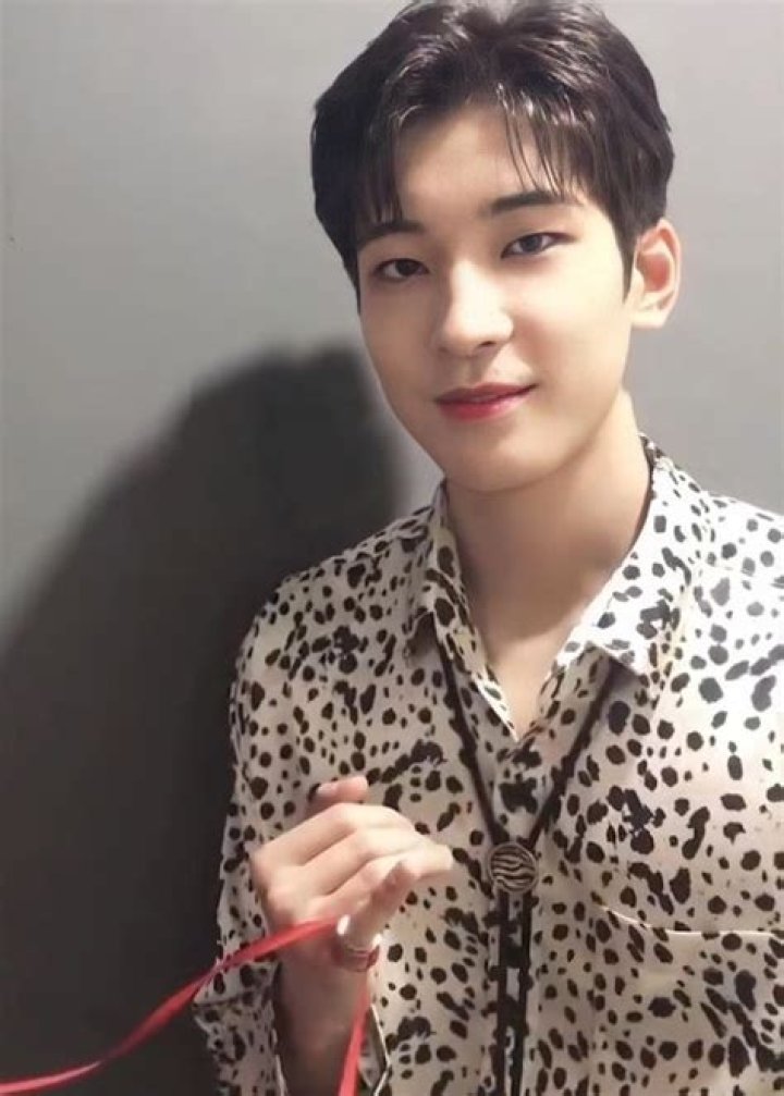 Wonwoo Height, Weight, Net Worth, Age, Birthday, Wikipedia, Who, Nationality, Biography